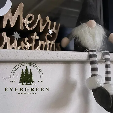 Evergreen 65 Apartment *