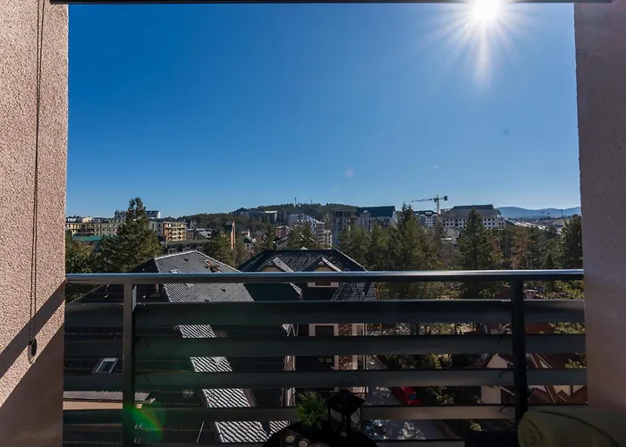 Evergreen 65 * ズラティボール