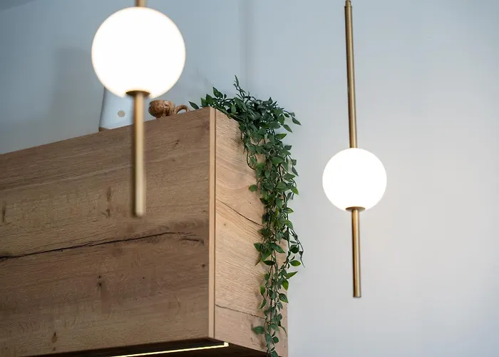 アパート Evergreen 65