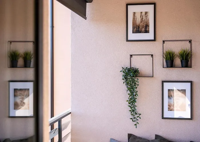 Evergreen 65 * ズラティボール