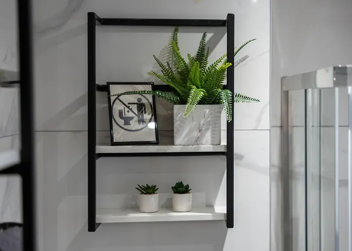 Evergreen 65 * ズラティボール